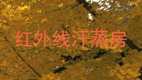 红外线汗蒸房
