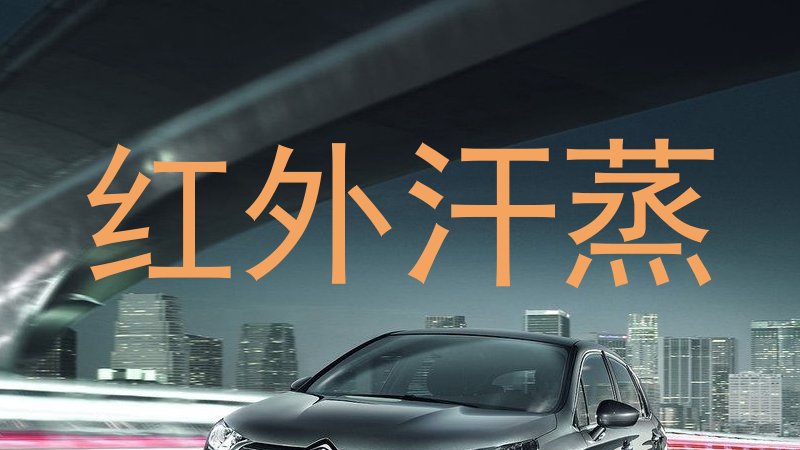 红外汗蒸