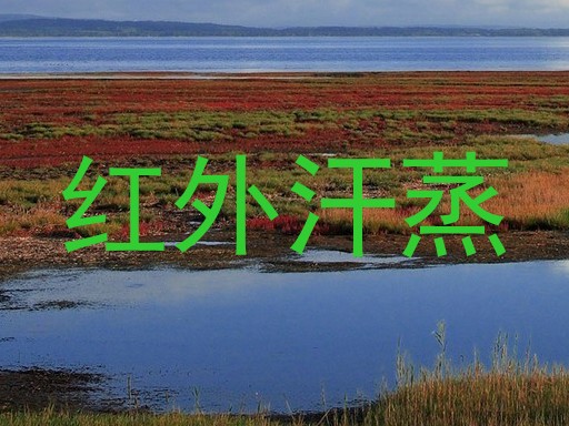红外汗蒸