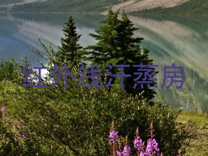 红外线汗蒸房