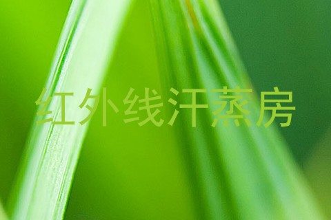 红外线汗蒸房