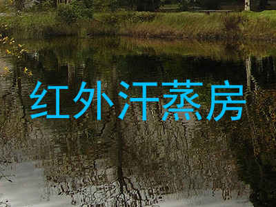 红外汗蒸房