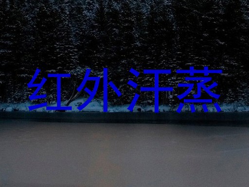 红外汗蒸
