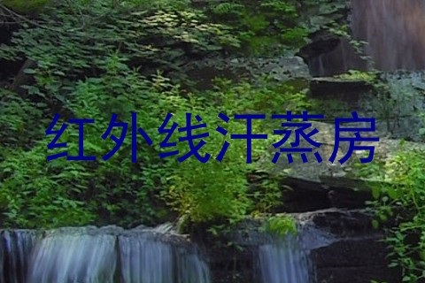 红外线汗蒸房