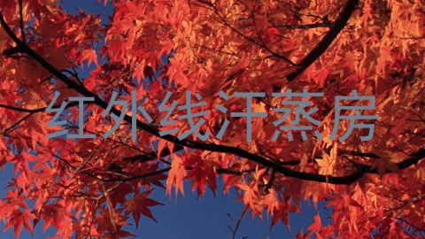 红外线汗蒸房