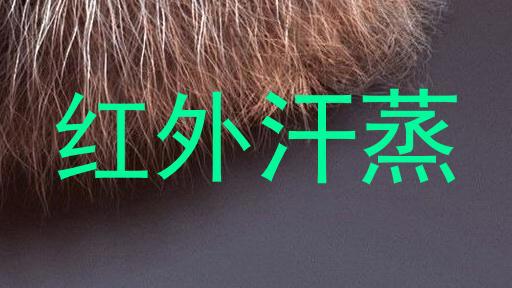 红外汗蒸