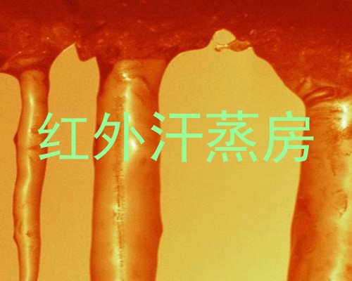 红外汗蒸房