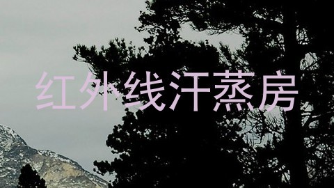红外线汗蒸房