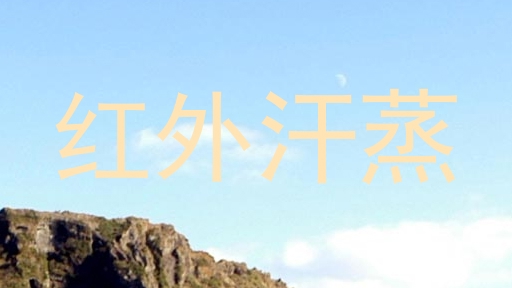 红外汗蒸