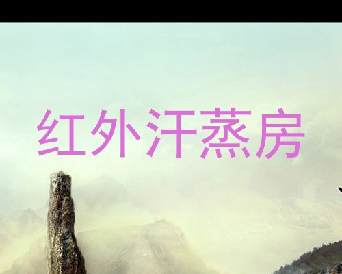 红外汗蒸房