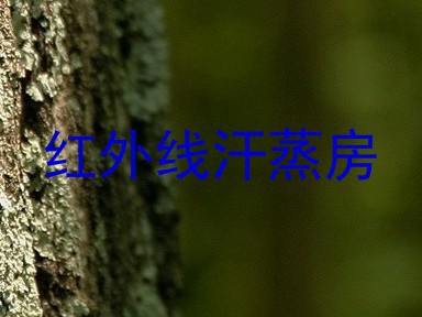 红外线汗蒸房