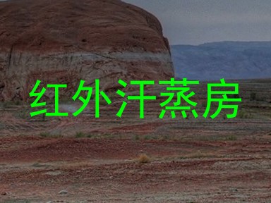 红外汗蒸房