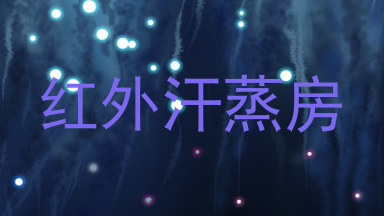 红外汗蒸房