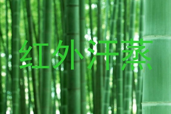 红外汗蒸