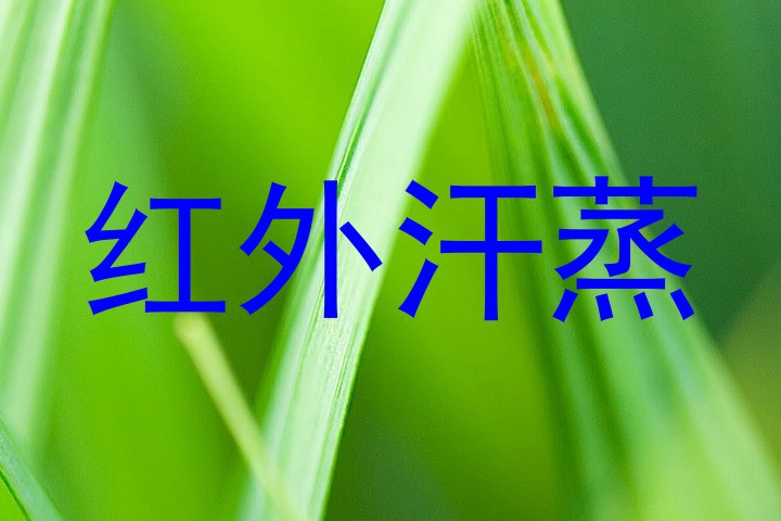 红外汗蒸