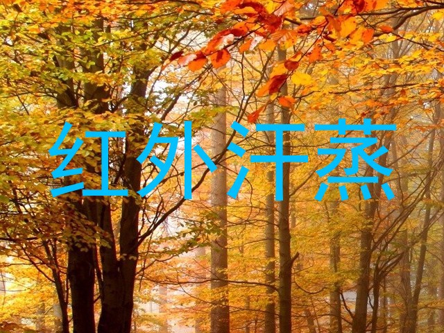 红外汗蒸