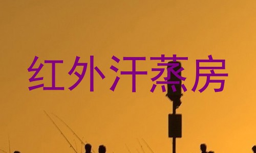 红外汗蒸房