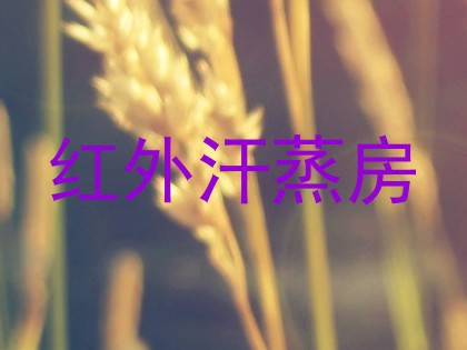 红外汗蒸房