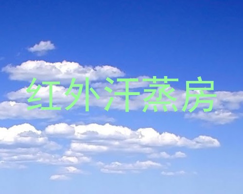 红外汗蒸房