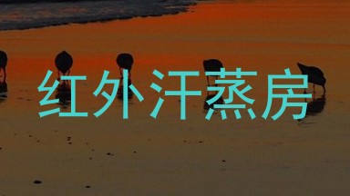红外汗蒸房