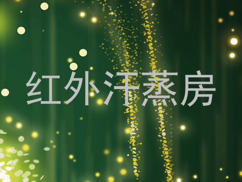 红外汗蒸房
