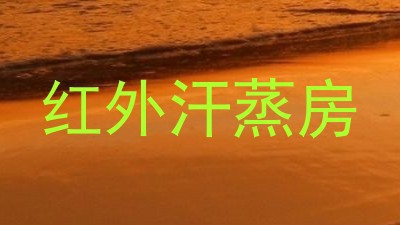 红外汗蒸房