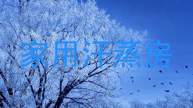 家用汗蒸房
