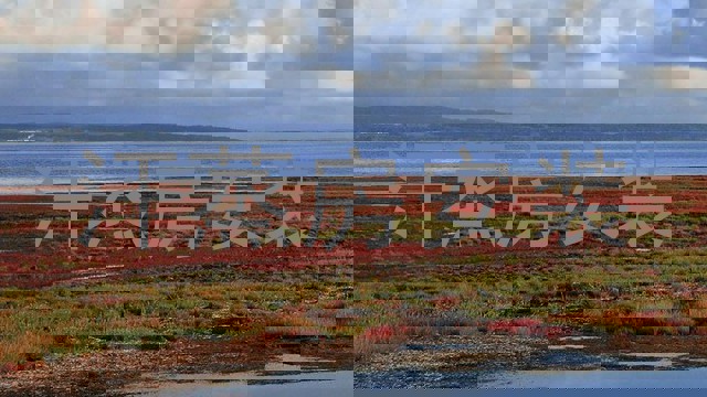 汗蒸房安装