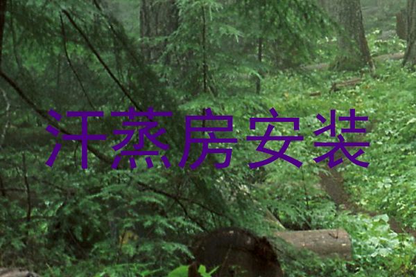 汗蒸房安装