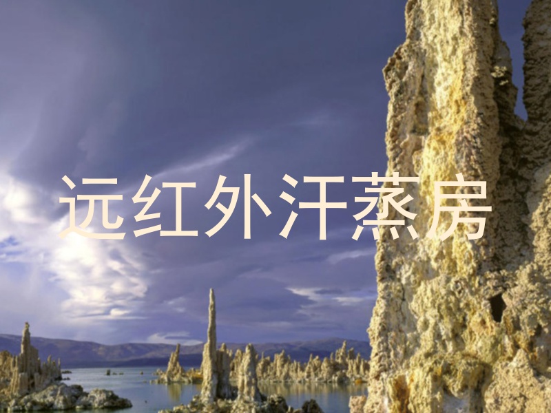 远红外汗蒸房