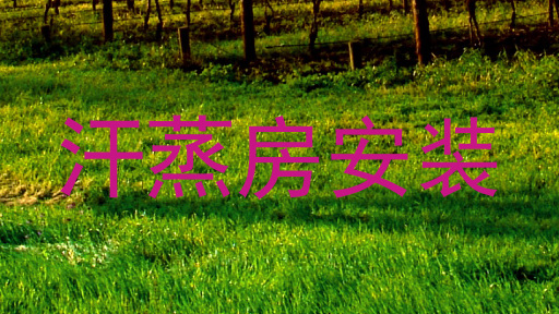 汗蒸房安装