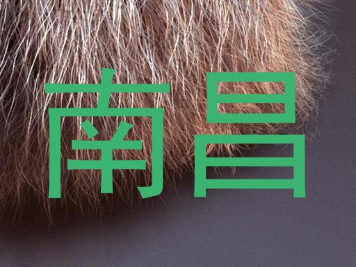 南昌