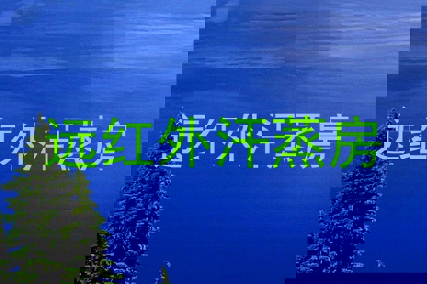 远红外汗蒸房