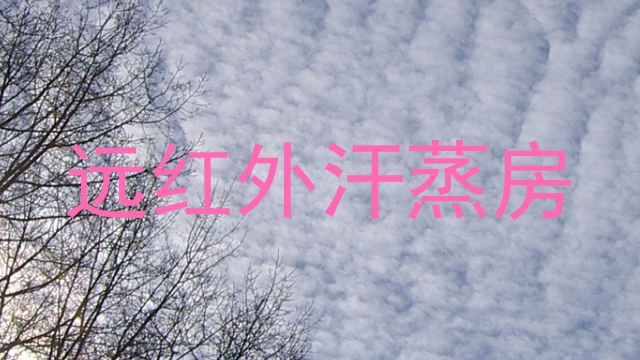 远红外汗蒸房