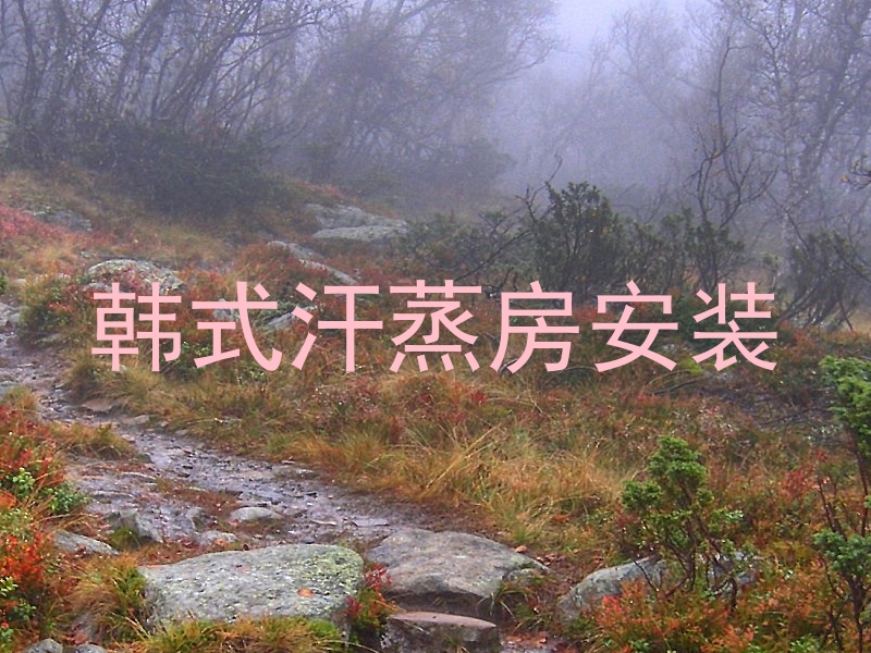韩式汗蒸房安装