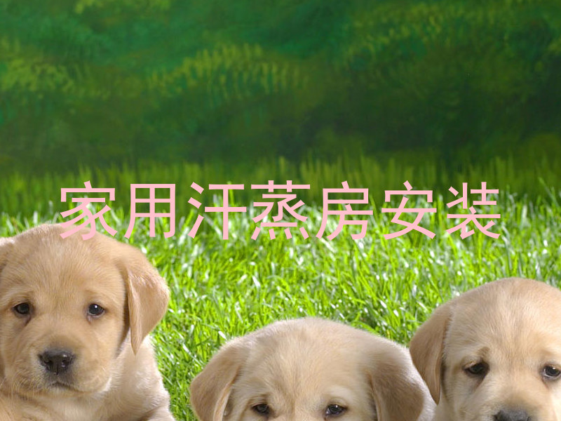 家用汗蒸房安装