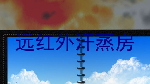 远红外汗蒸房