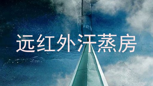 远红外汗蒸房