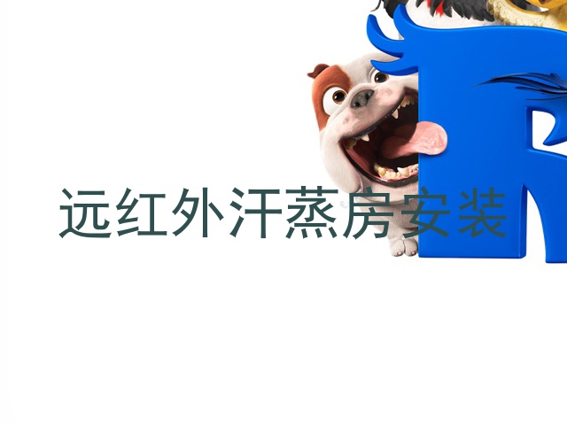 远红外汗蒸房安装