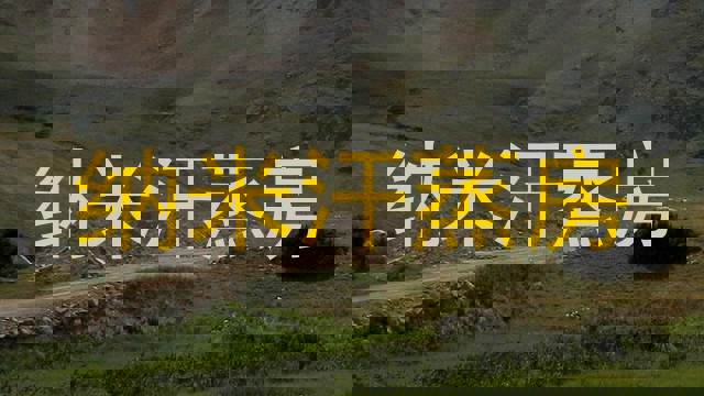 纳米汗蒸房