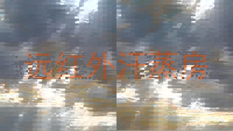 远红外汗蒸房