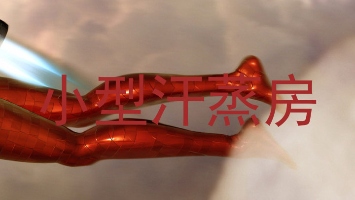 小型汗蒸房