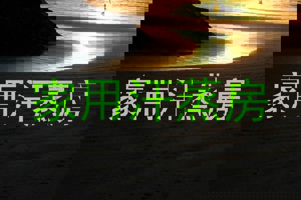家用汗蒸房