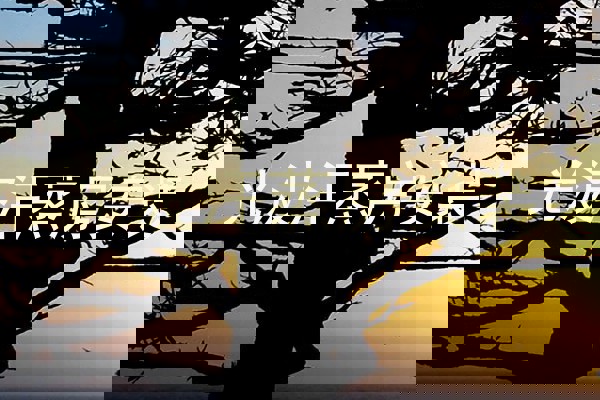 光波汗蒸房安装