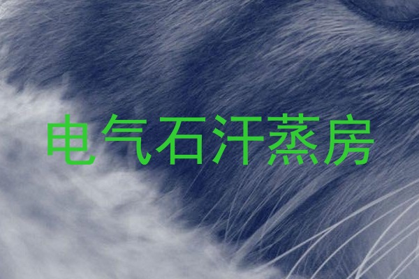 电气石汗蒸房