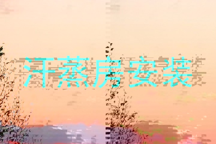 汗蒸房安装