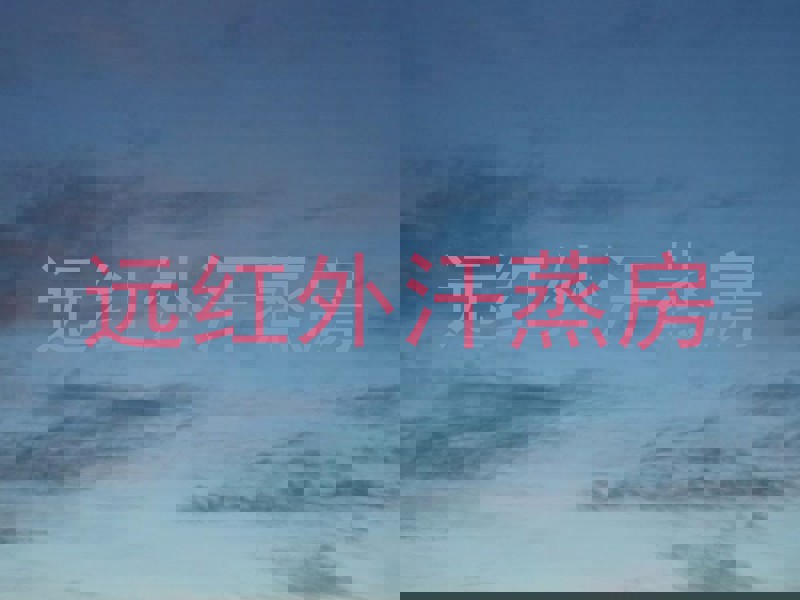 远红外汗蒸房