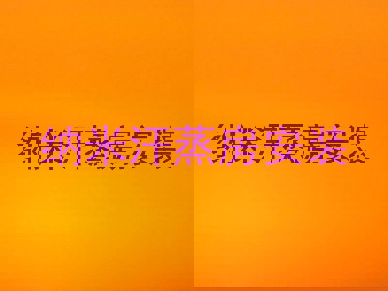纳米汗蒸房安装