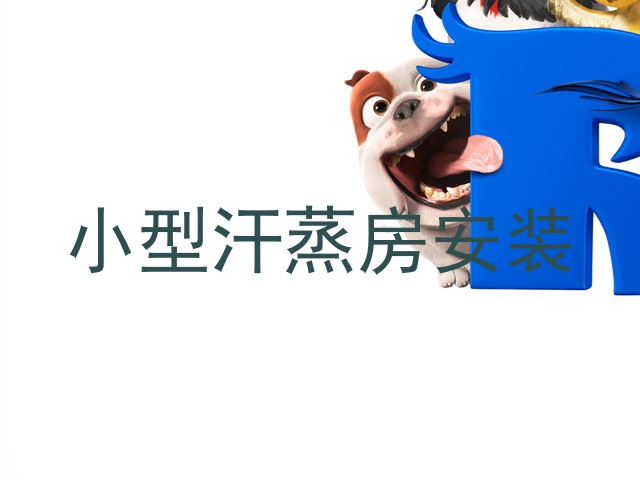 小型汗蒸房安装