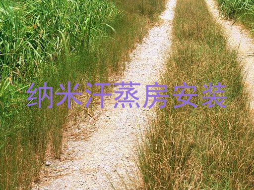 纳米汗蒸房安装